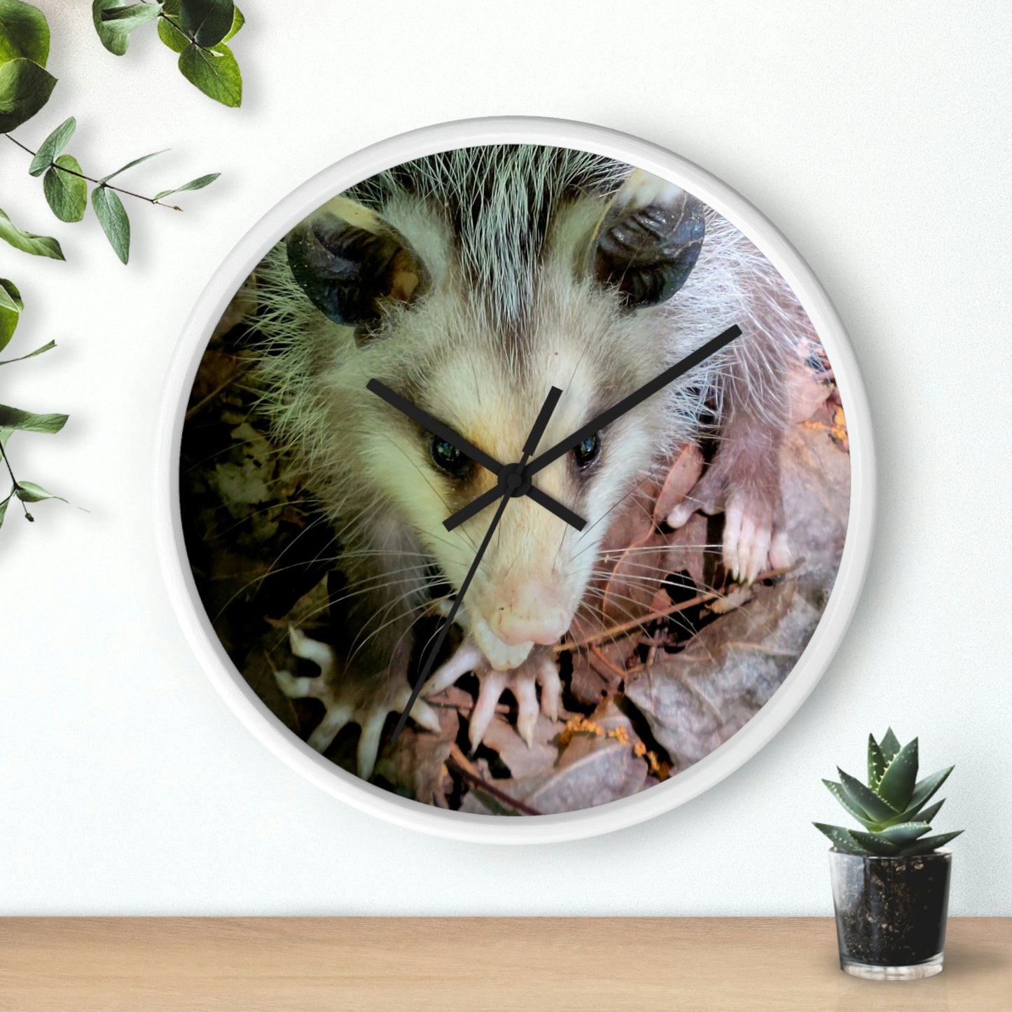 Kisatchie Opossum Wall Clocks