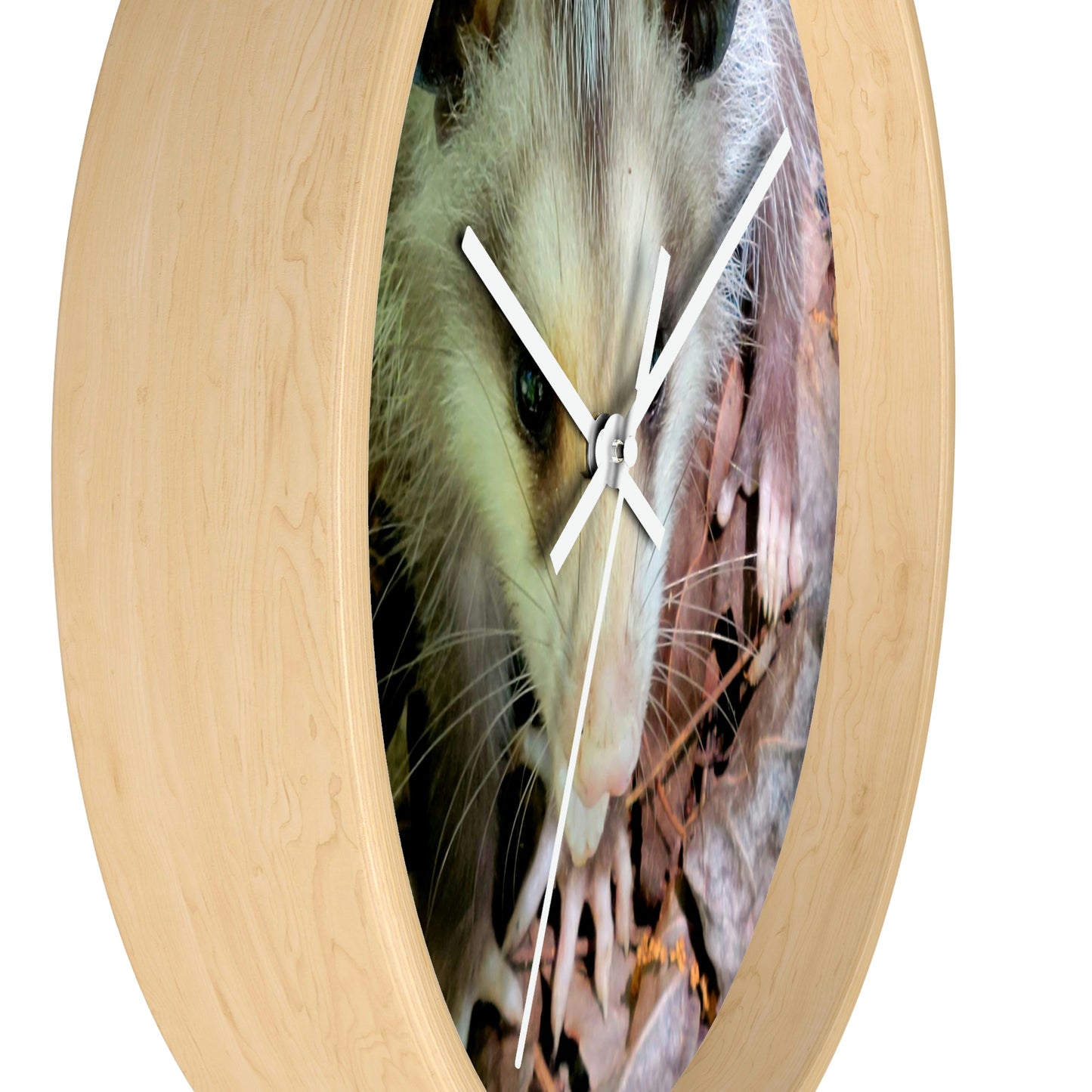 Kisatchie Opossum Wall Clocks