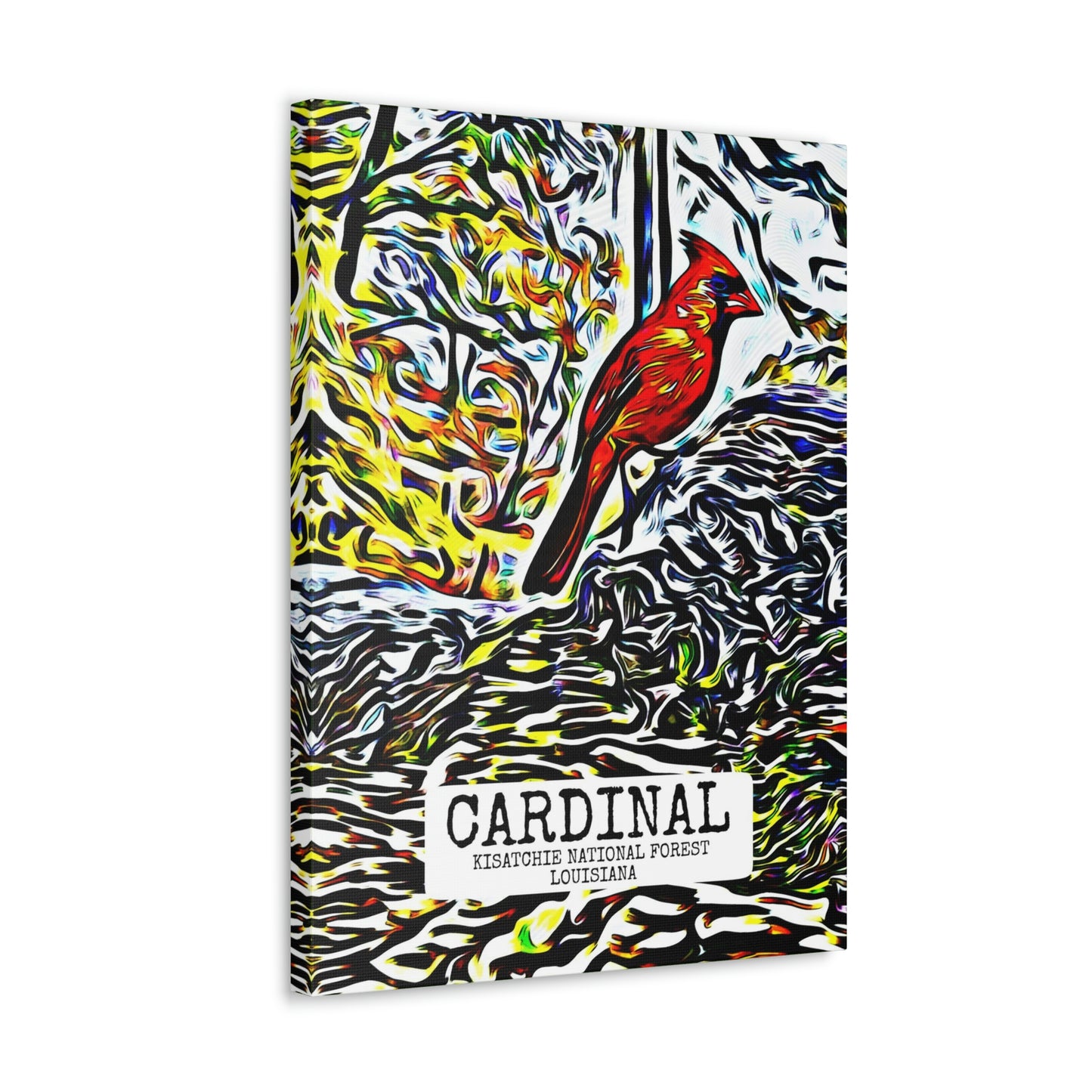 Cardinal in Kisatchie Canvas Gallery Wraps