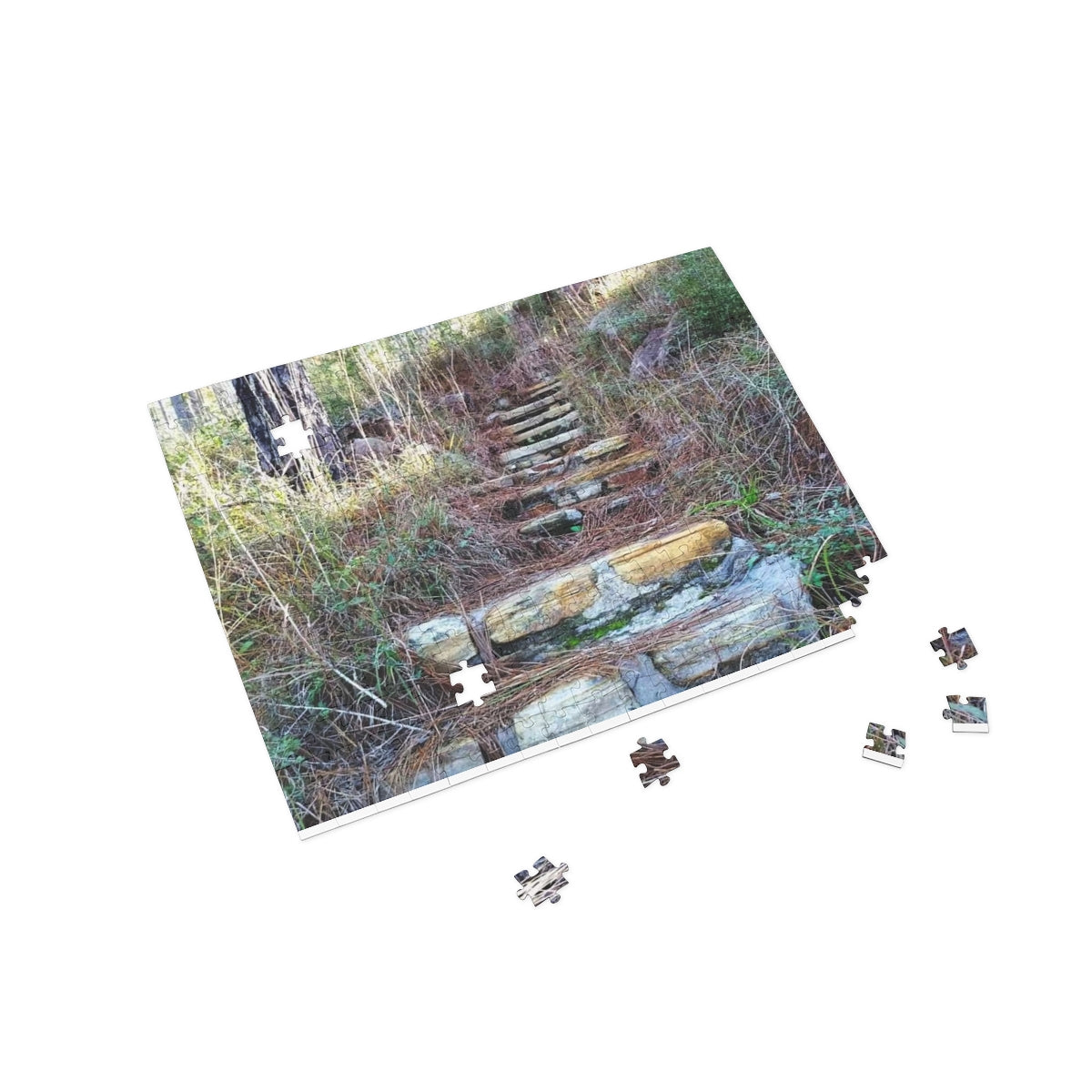 Longleaf Vista Trail Puzzle (4 Sizes)