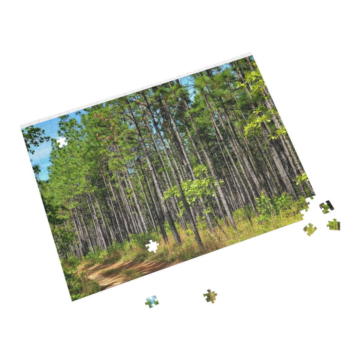 Kisatchie Pines Puzzle (4 Sizes)