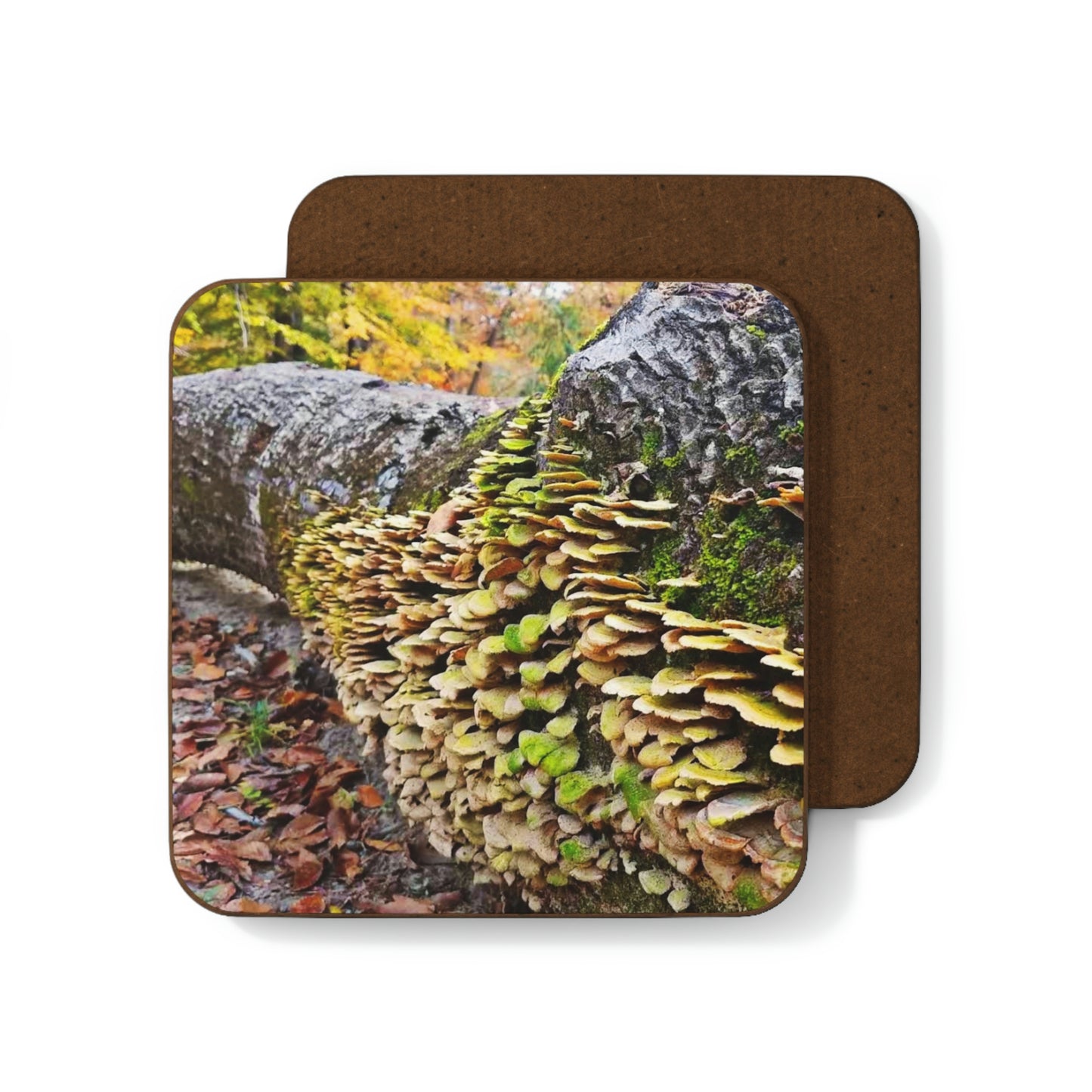 Kisatchie Fungi Hardboard Back Coaster