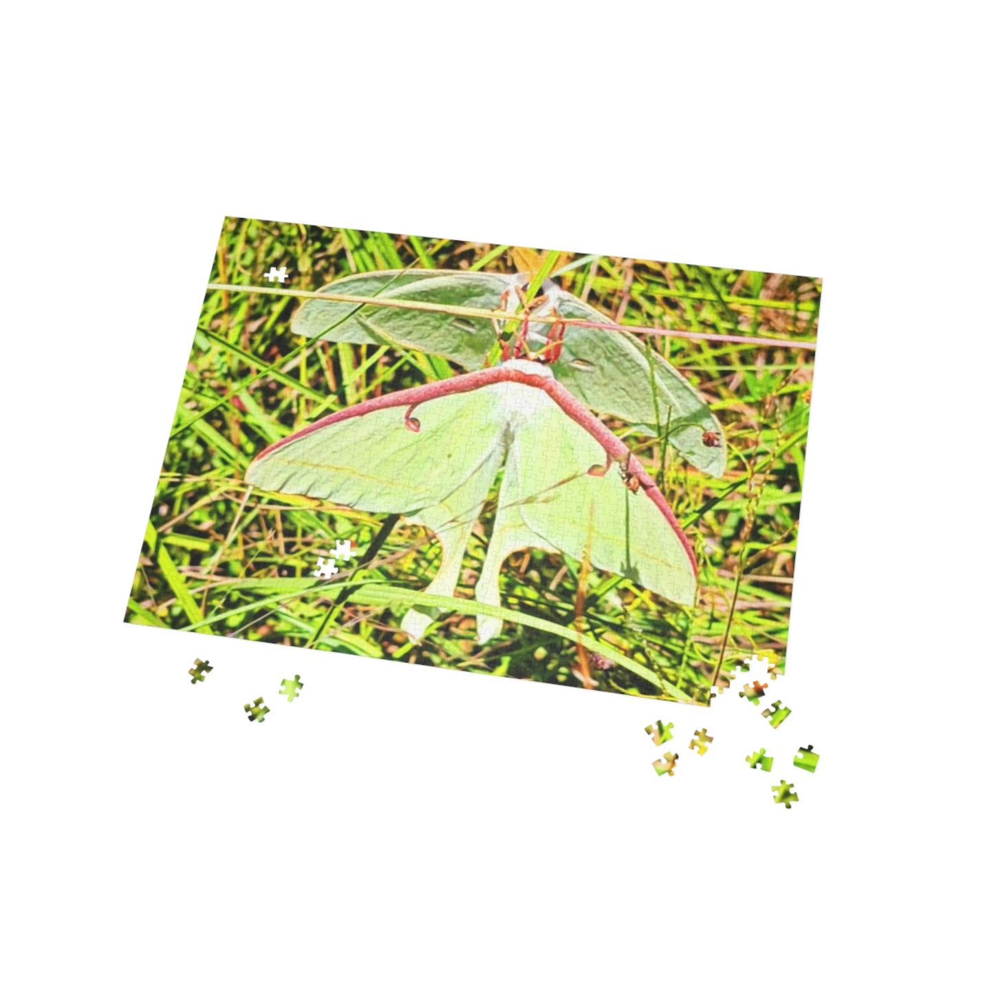 Luna Moths Puzzles