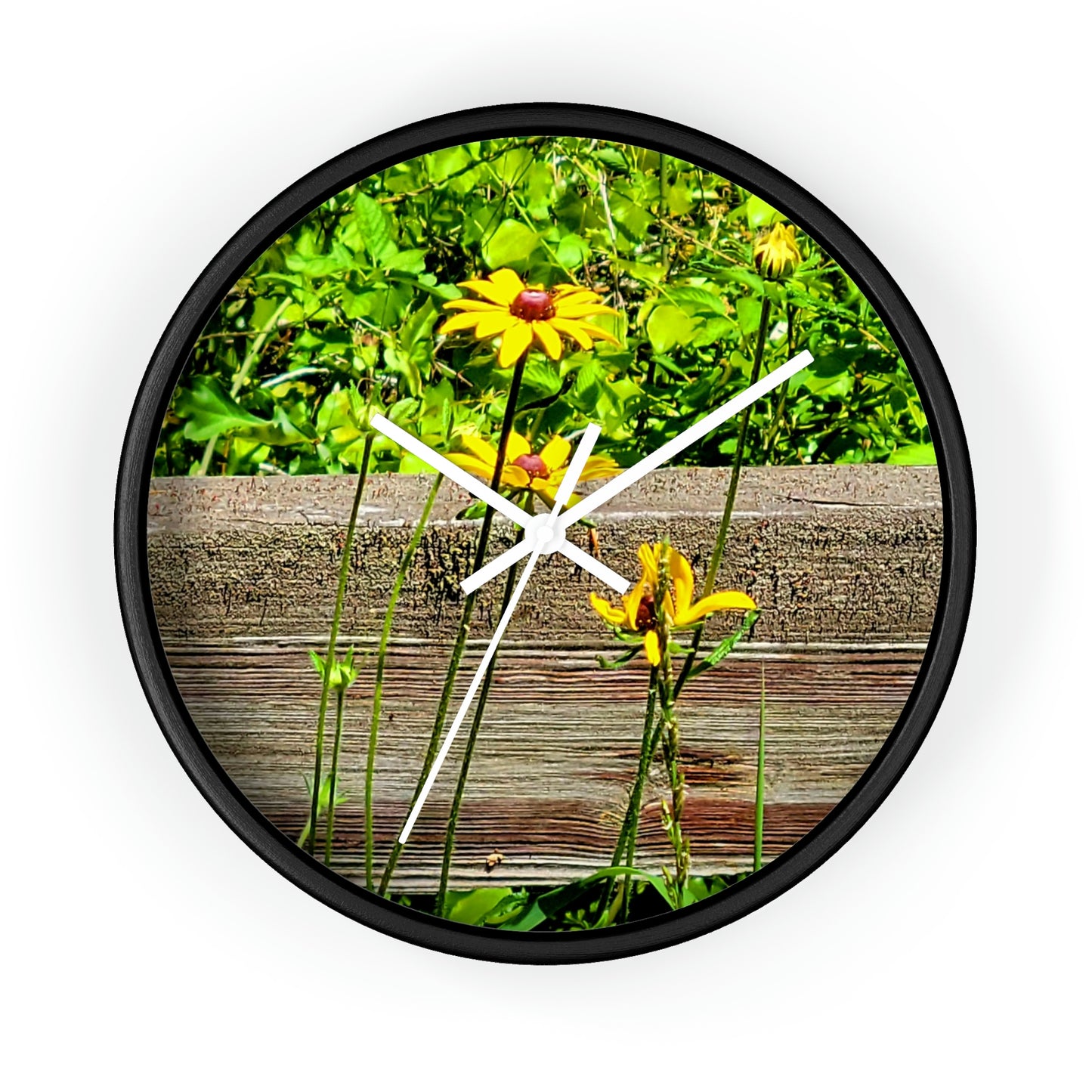 Kisatchie Wildflower Clocks