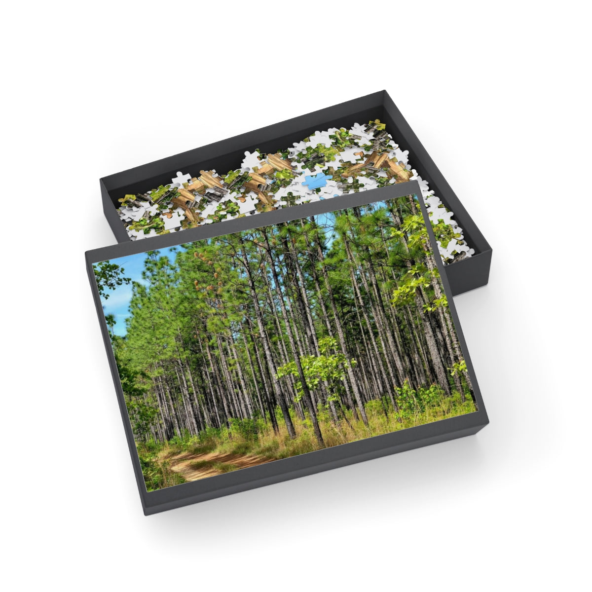 Kisatchie Pines Puzzle (4 Sizes)