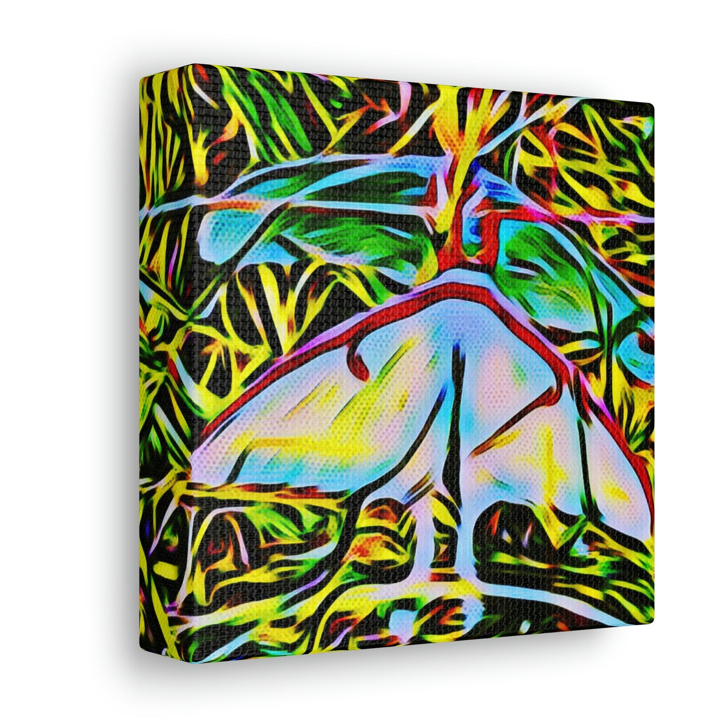 Luna Moths Canvas Gallery Wraps