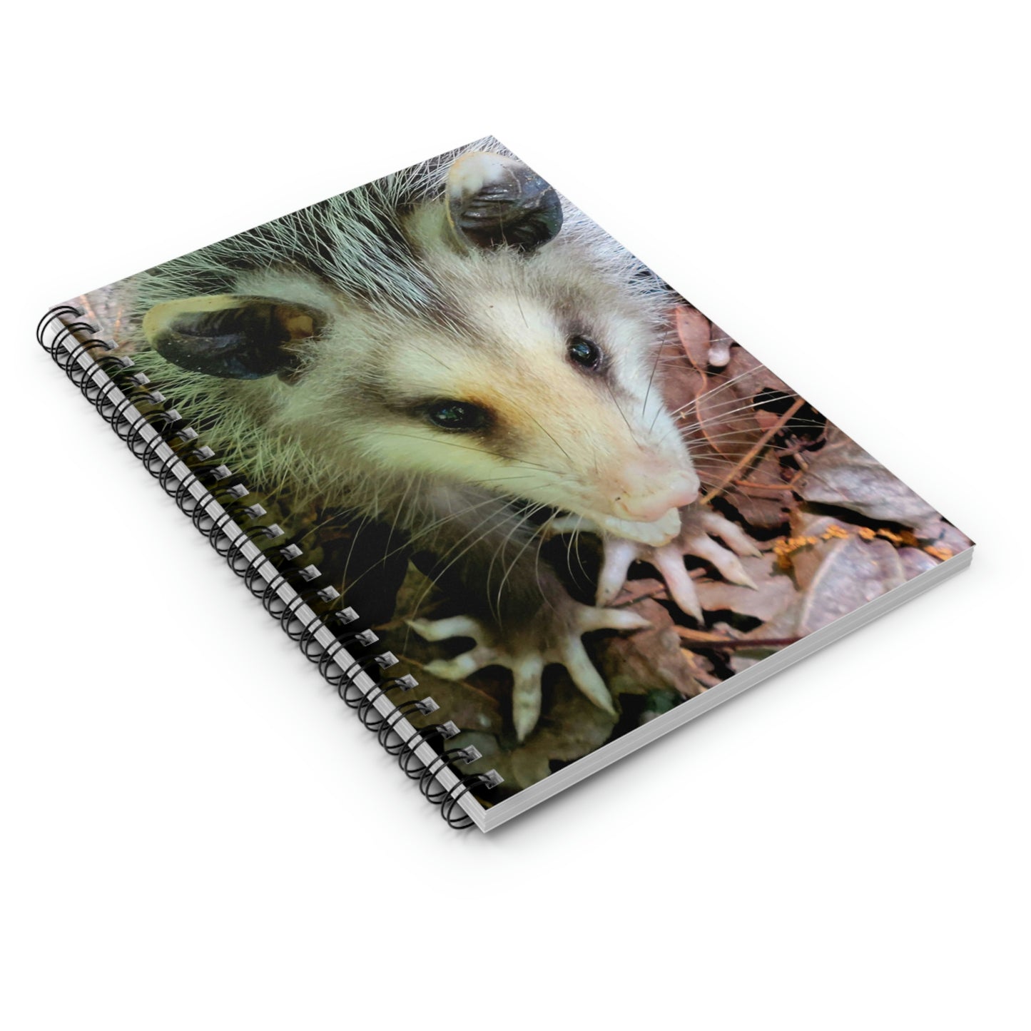 Opossum Spiral Notebook