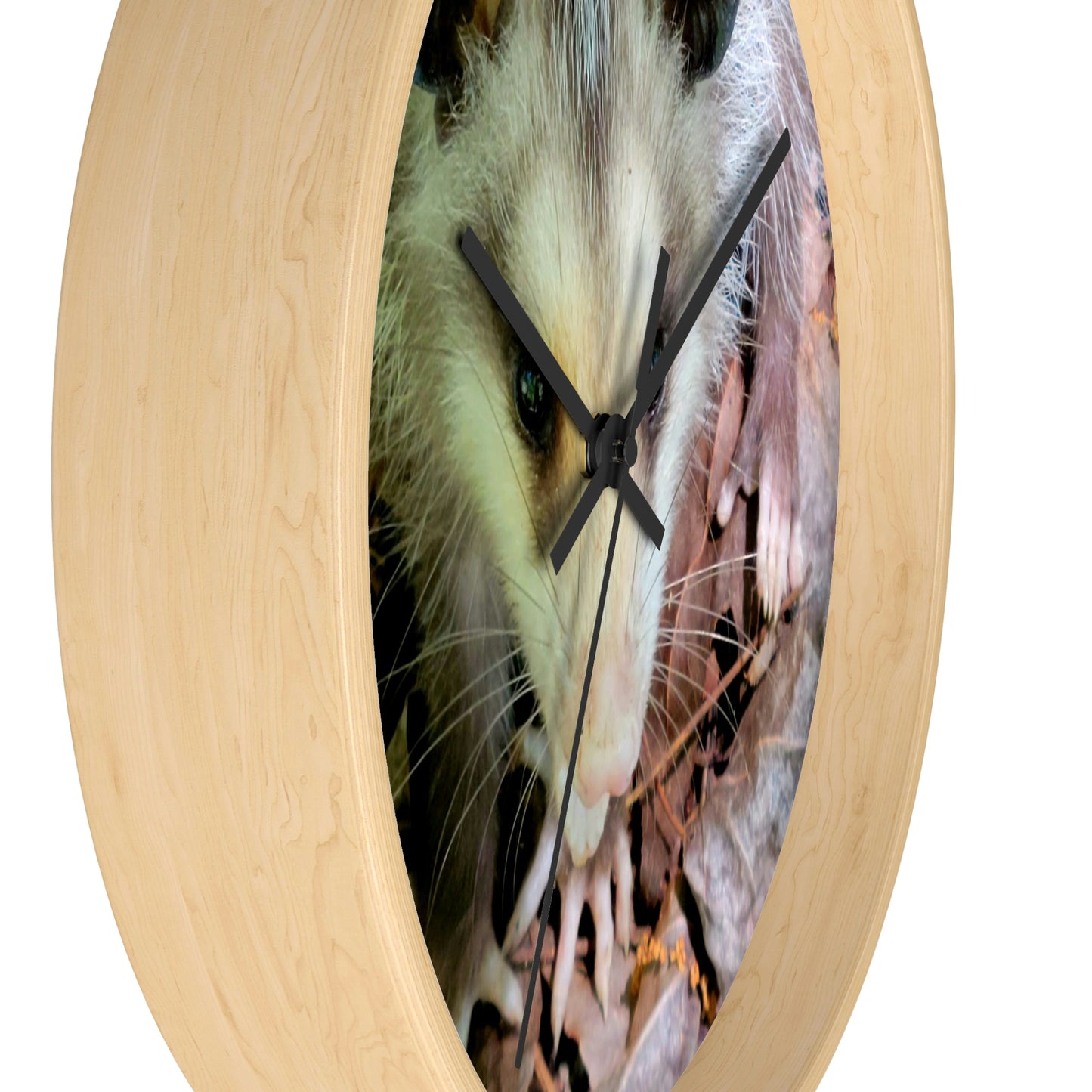 Kisatchie Opossum Wall Clocks